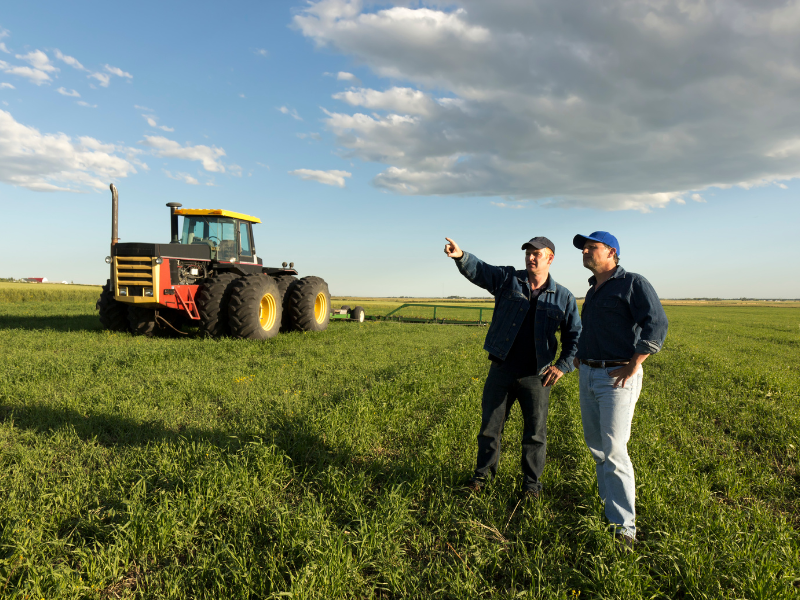 Conheça o Seguro Agrícola – Sua importância e seus benefícios