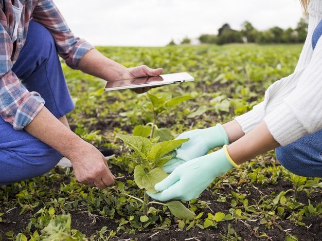Seguro Rural: Proteção e Tranquilidade para o Produtor