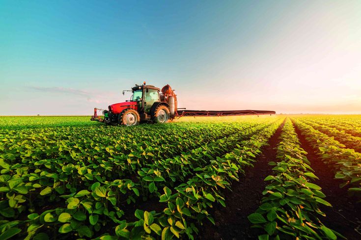 Seguro Rural: Proteção e Tranquilidade para o Produtor