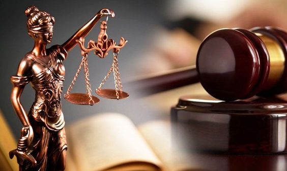 Seguro Garantia: Entenda como funciona