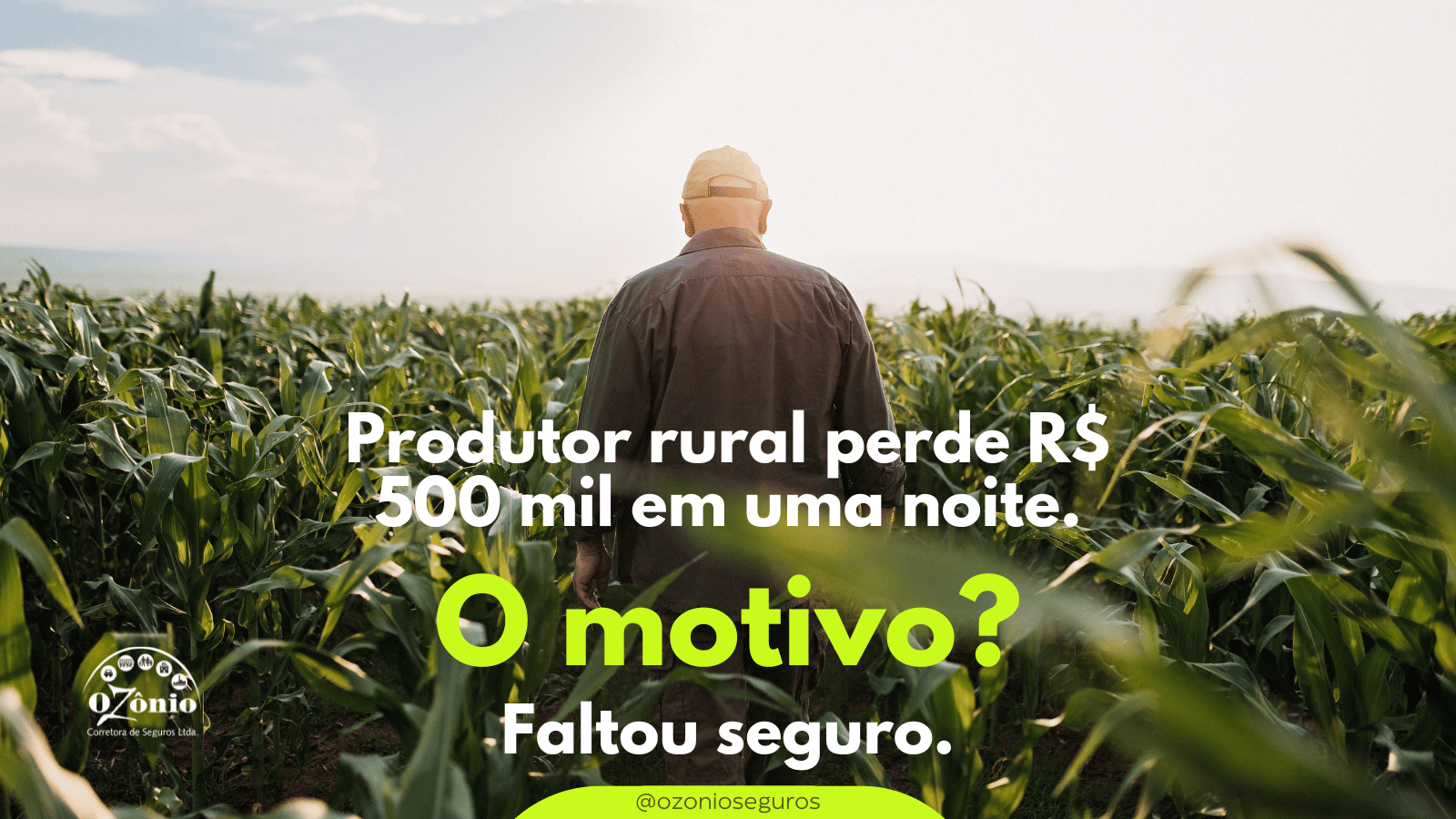 Seguros Rurais: Protegendo o Futuro do Agronegócio Brasileiro